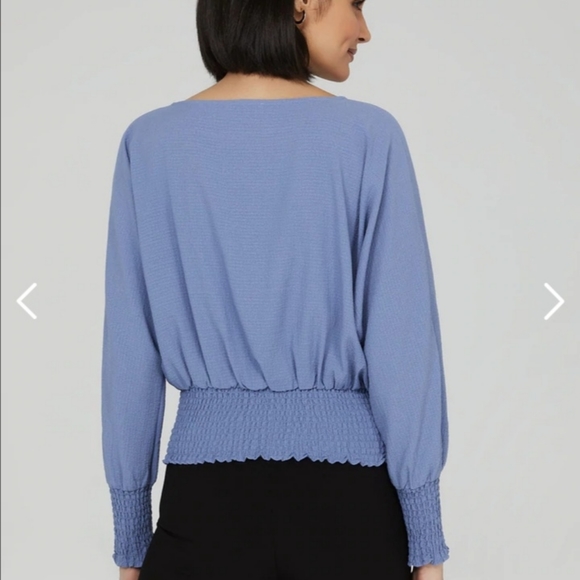 Blue Blouse - Picture 3 of 3